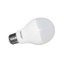 Foco A19 LED Boomer 5.5W